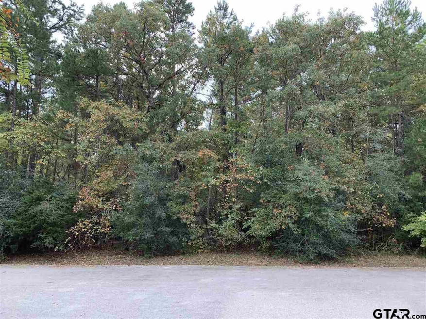 14676 Jade Forest Trail, Tyler, TX 75707 - photo 1