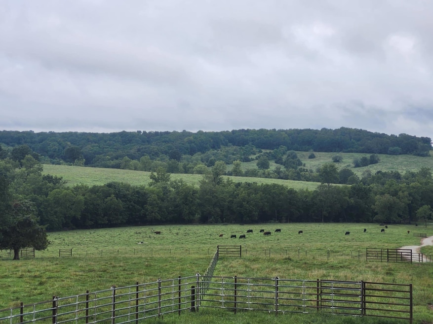 9551 C-Highway Ff, Mountain Grove, MO 65711 - photo 1