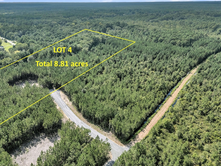 759 Deas Hill Rd, McClellanville, SC 29458 - photo 1