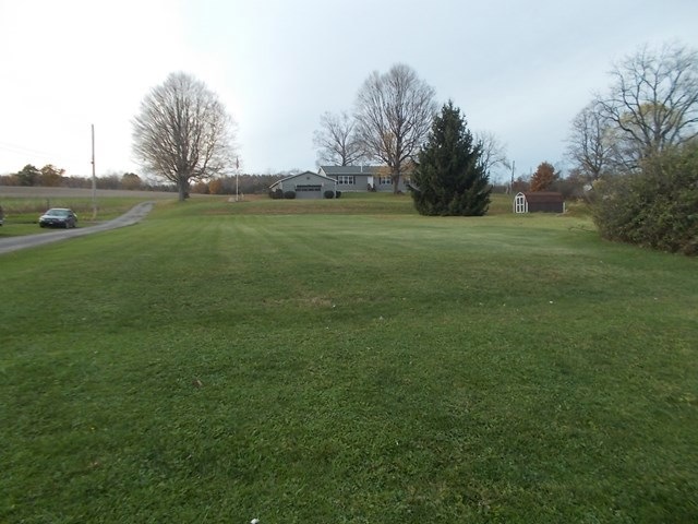Main View
