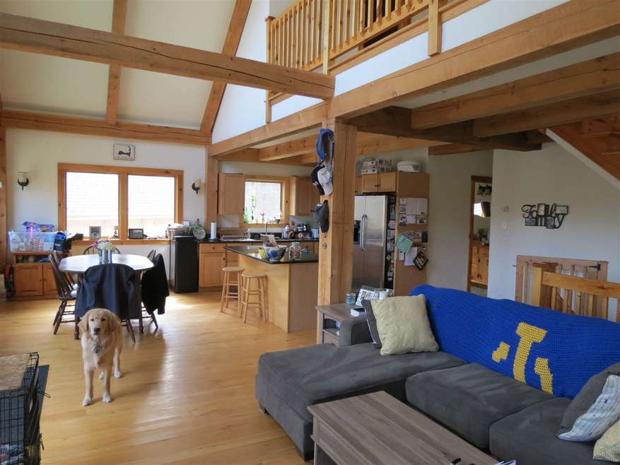 Golden Retriever Not Included