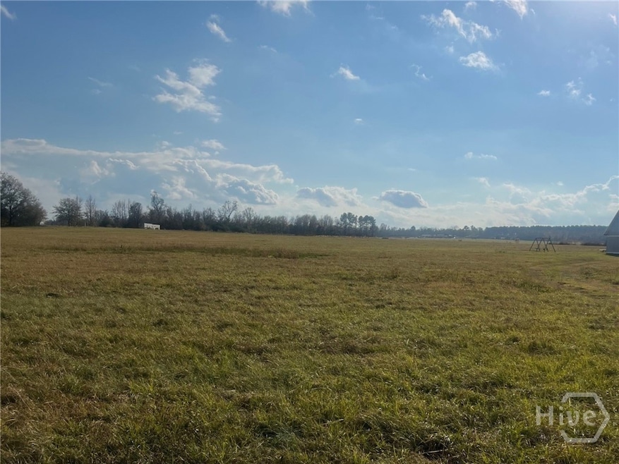 0 W Old Savannah Rd unit SA344167, Millen, GA 30442 - photo 1