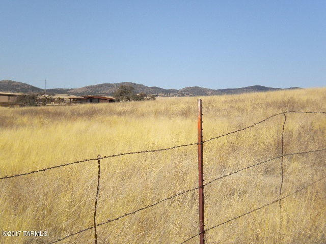 Canelo Hills
