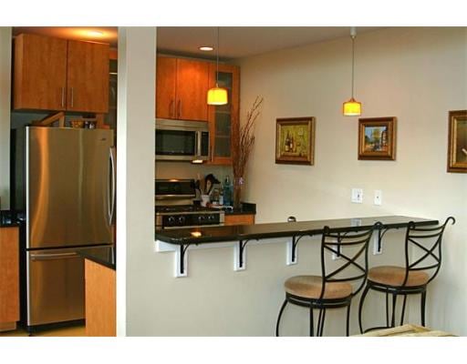 15 Worcester Square unit 5, Boston, MA 02118 - photo 1