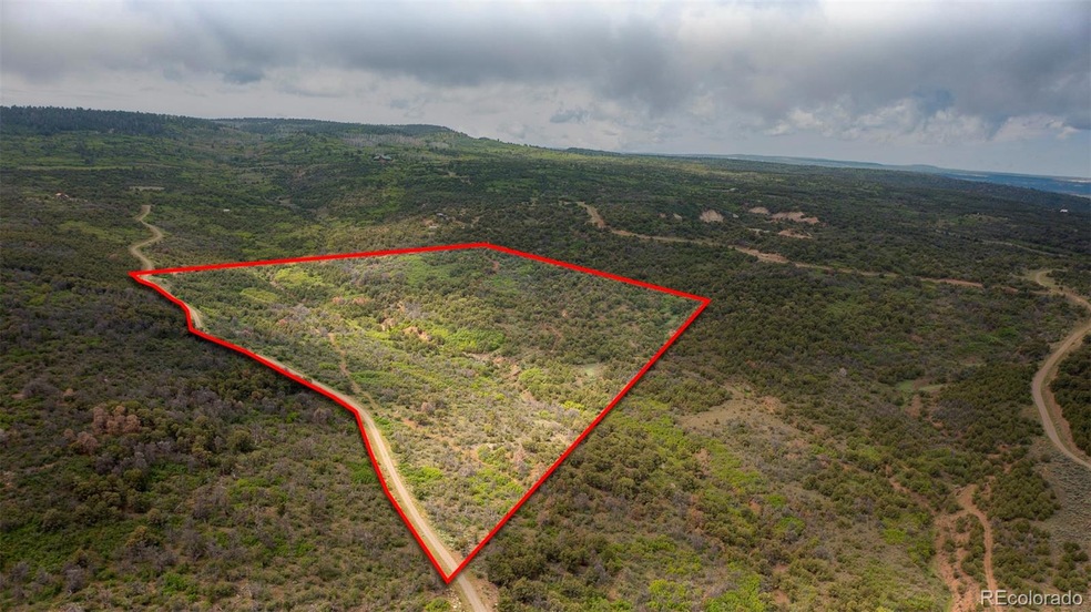 18973 Elk Reserve Rd unit 12, Glade Park, CO 81523 - photo 1