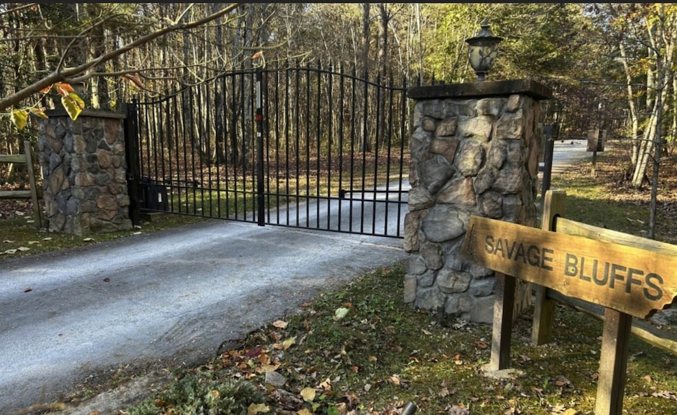 0 Woodfern Ln unit RTC2989079, Coalmont, TN 37313 - photo 1