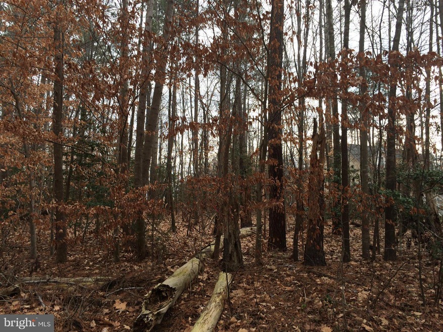 0 Country Club Ln unit 1003282498, Ruther Glen, VA 22546 - photo 1