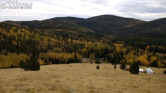 Mountain view with a forest and rural landscape