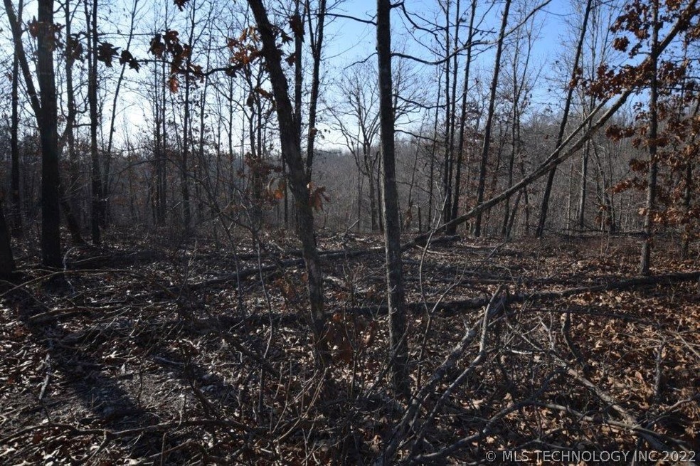 29100 Hampton Ridge Rd, Proctor, OK 74457 - photo 1