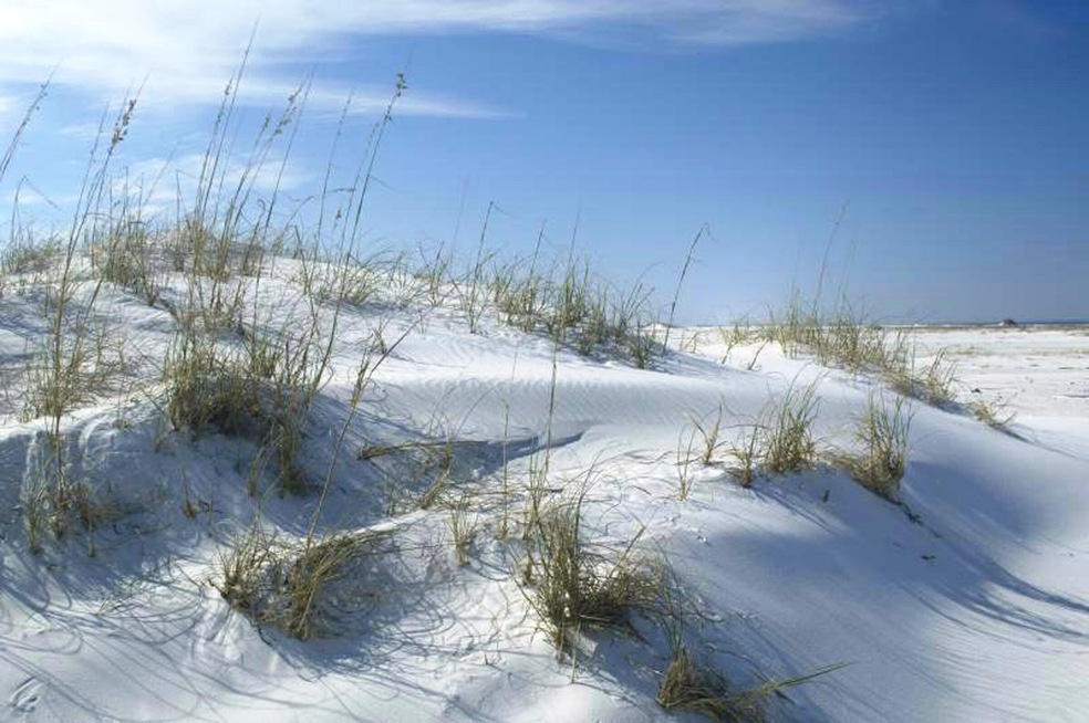 Dune_Shot[1]
