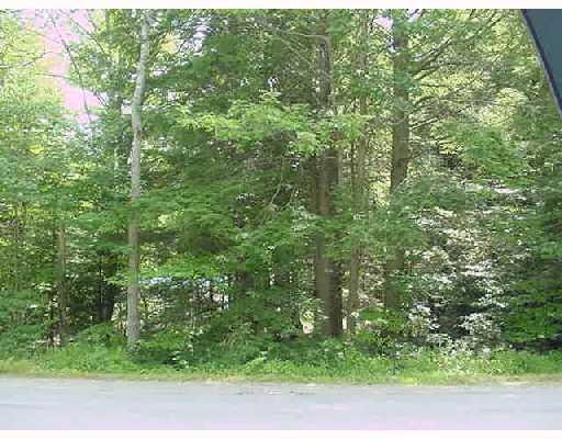 Lot b