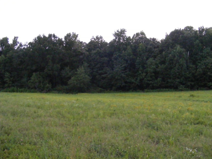 0 Fredonia Rd unit RTC1853630, Manchester, TN 37355 - photo 1