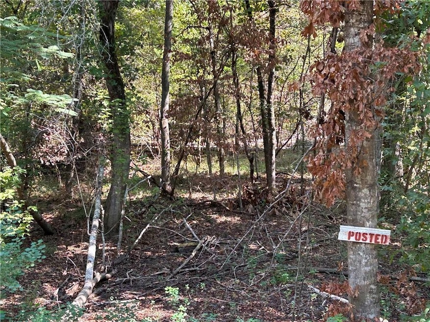 0 Hwy 524 None, Pollock, LA 71467 - photo 1