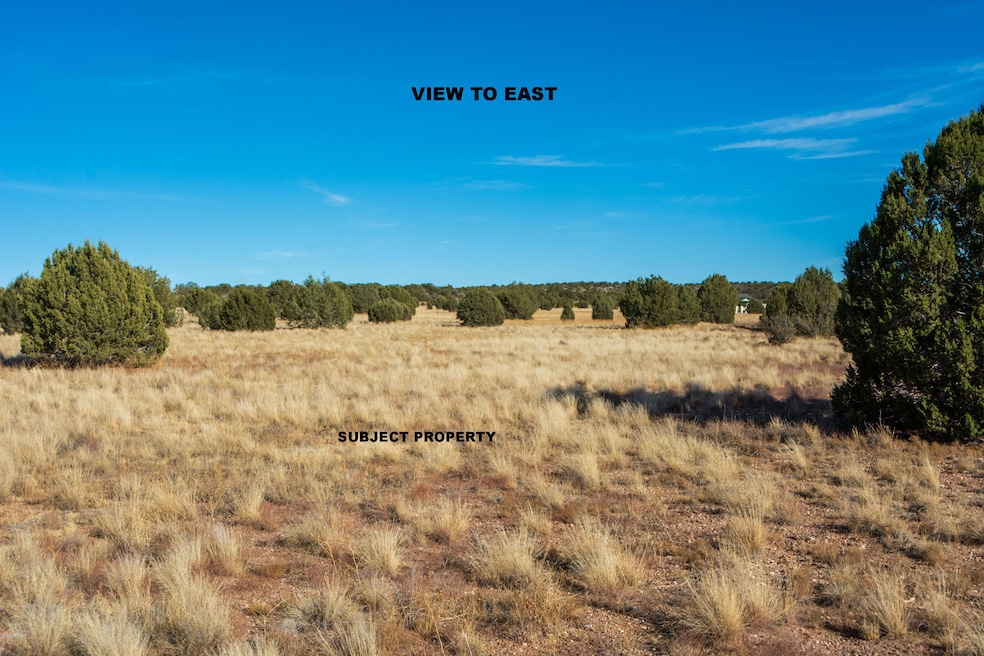 1120 E Cougar Ridge Rd, Paulden, AZ 86334 - photo 1