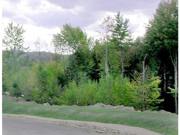 L 14 Timber Ln, Littleton, NH 03561 - photo 1