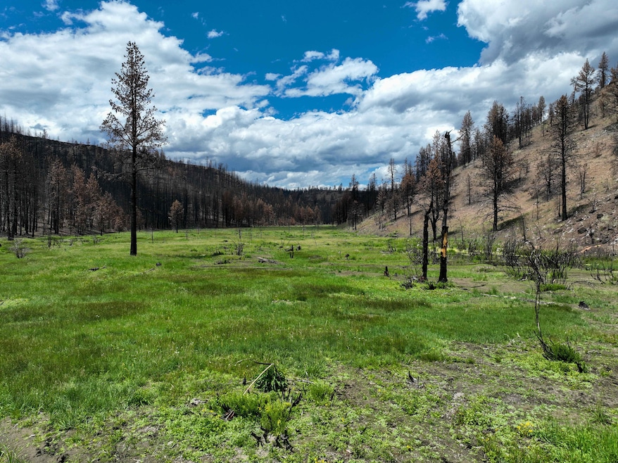 Forest Service Rd 3745, Burns, OR 97720 - photo 1