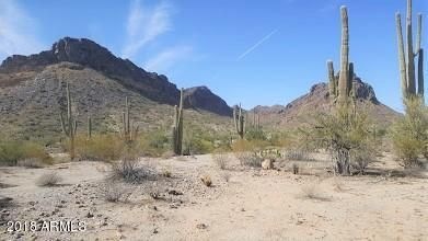 Lot View 1