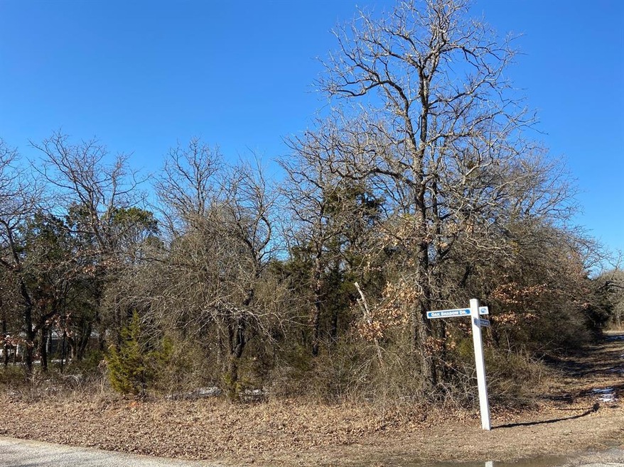 24018 Oak Shadow, Whitney, TX 76692 - photo 1