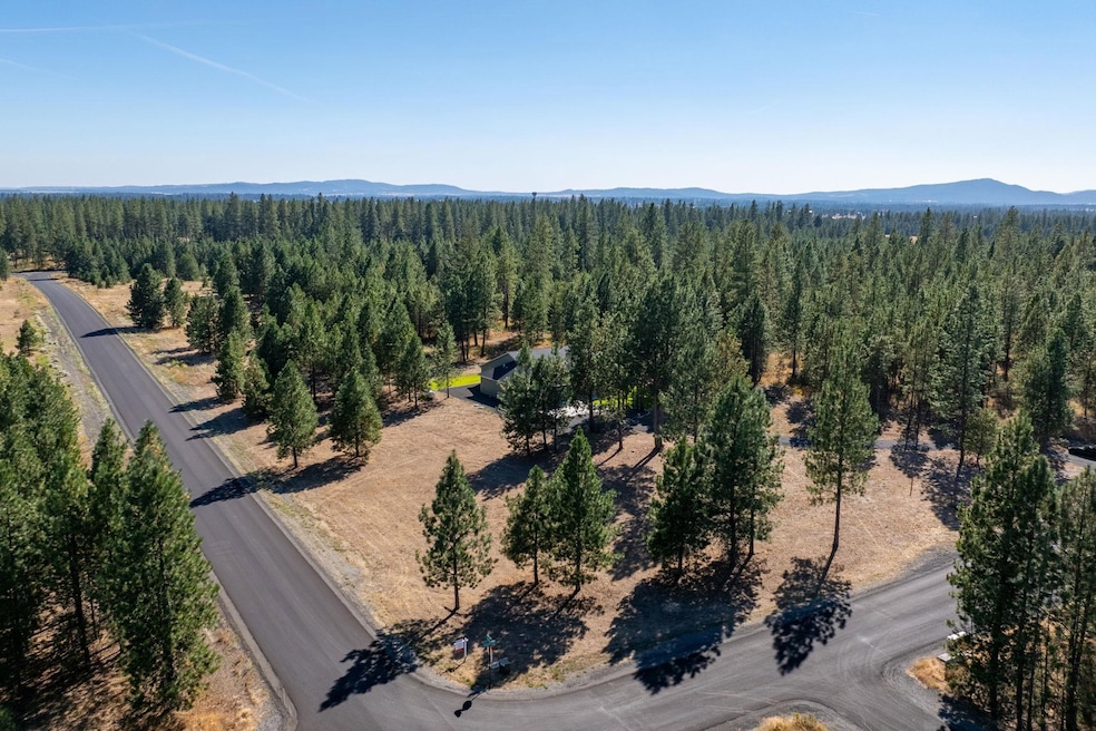 NKA N Tudor Rd unit LOT 2, Deer Park, WA 99006 - photo 1