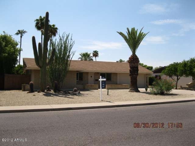 Cholla 110