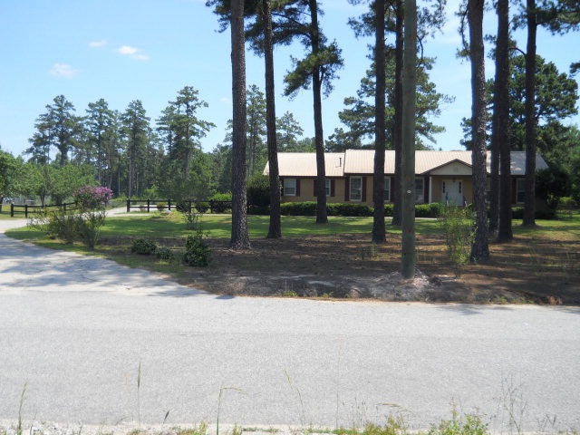 Main View