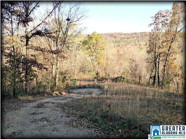 Private Drive to Hilltop View