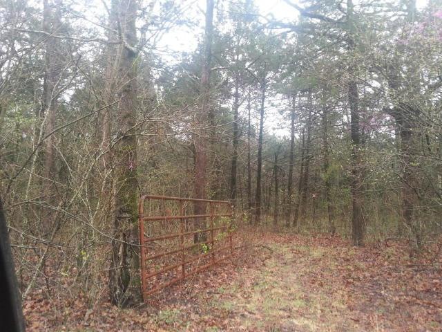 745 Hendrickson School Rd, Williams Township, MO 65747 - photo 1