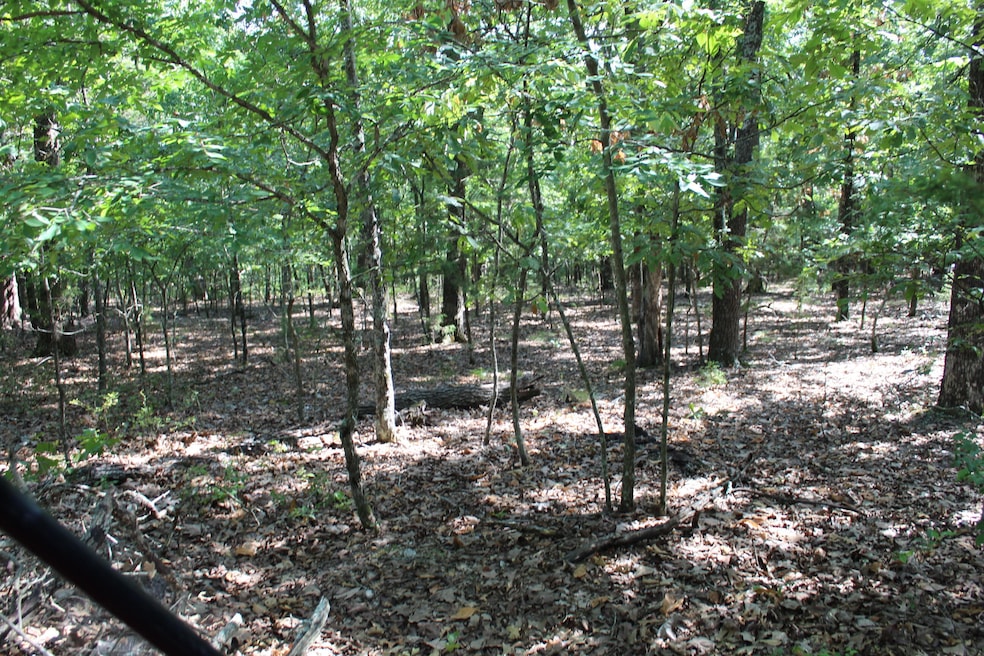 Lot 41-1