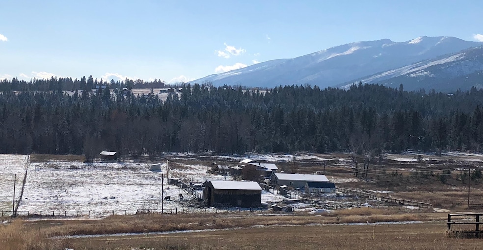 Pano 3