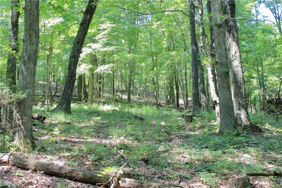 0 Pummill Rd, Fayetteville, AR 72701 - photo 1