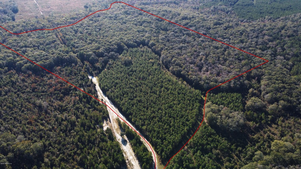 0 Wildlife Way unit 1085697, Callahan, FL 32011 - photo 1