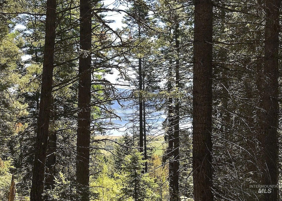 66 Hillside Trail, Donnelly, ID 83615 - photo 1