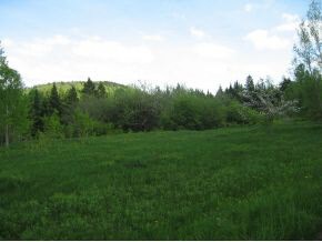 000 Cook Rd unit Area 1, Barton, VT 05822 - photo 1