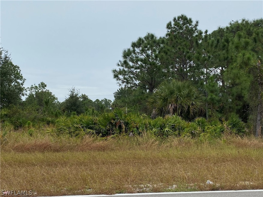 1163 Milwaukee Blvd, Lehigh Acres, FL 33974 - photo 1