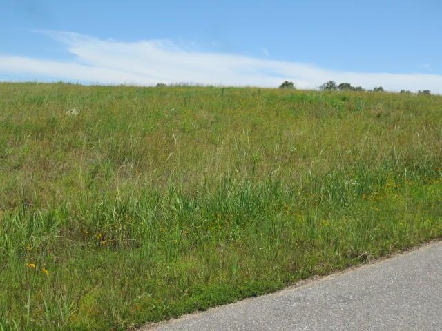 lot 143 photo