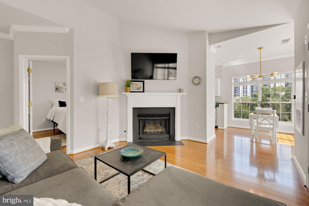 4550 Strutfield Ln unit 2405, Alexandria, VA 22311 - photo 1