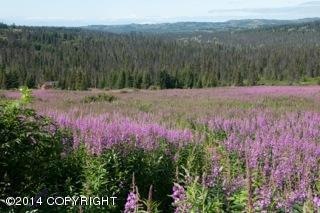 3+ Acres of Land
