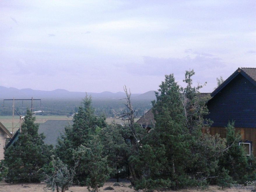 Primary Photo