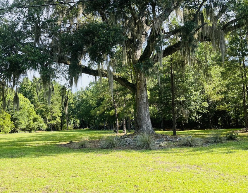 Lot Front View 1