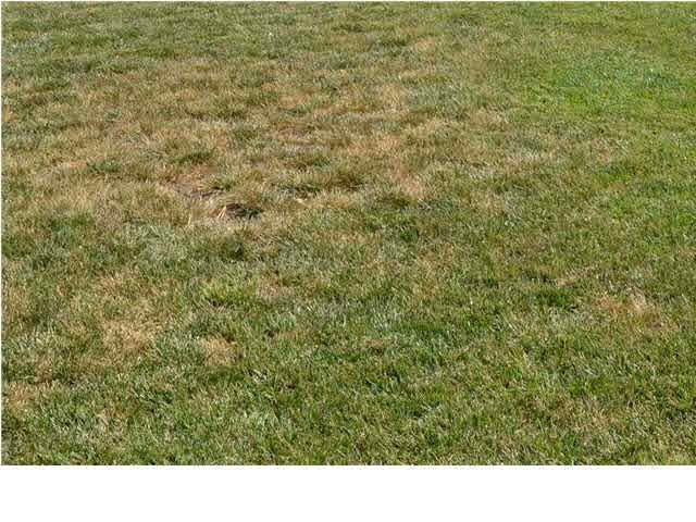 Flat lot