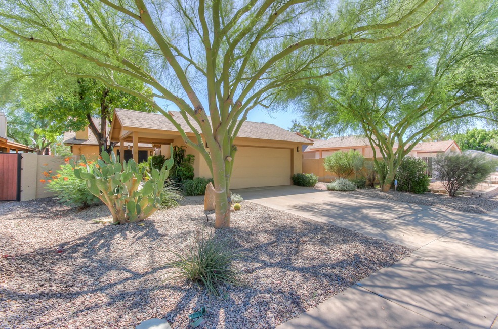 Mature desert landscaping