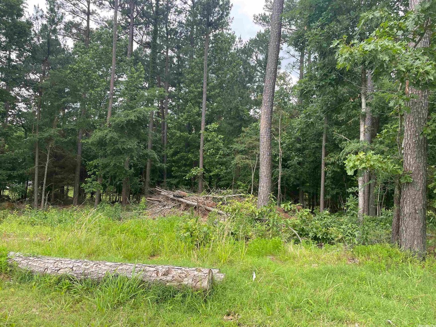 904 N 75th St, Paragould, AR 72450 - photo 1