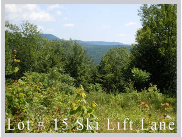 #15 Ski Lift Ln, Plymouth, NH 03264 - photo 1