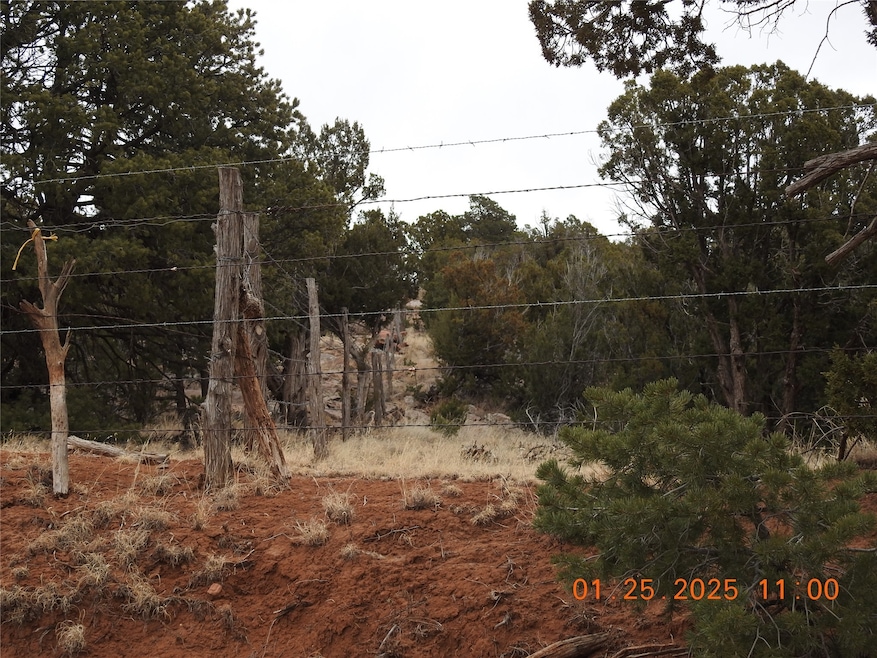 Tract A-1 Cr B29a, Villanueva, NM 87583 - photo 1