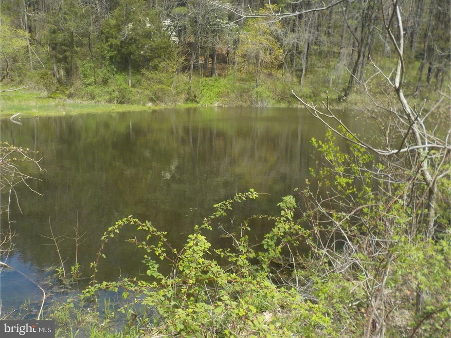 0 Township Line Rd, Bechtelsville, PA 19505 - photo 1