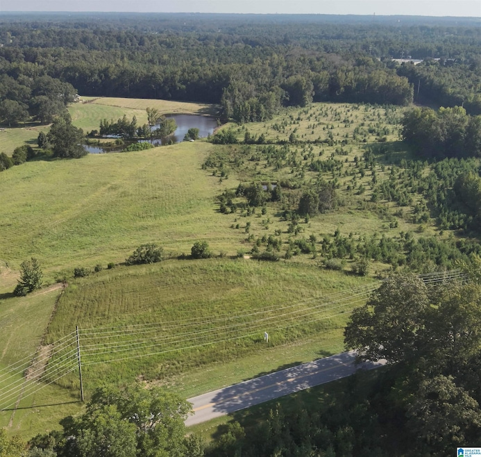 0 New Harmony Rd unit 35 acres +/-, Clanton, AL 35045 - photo 1