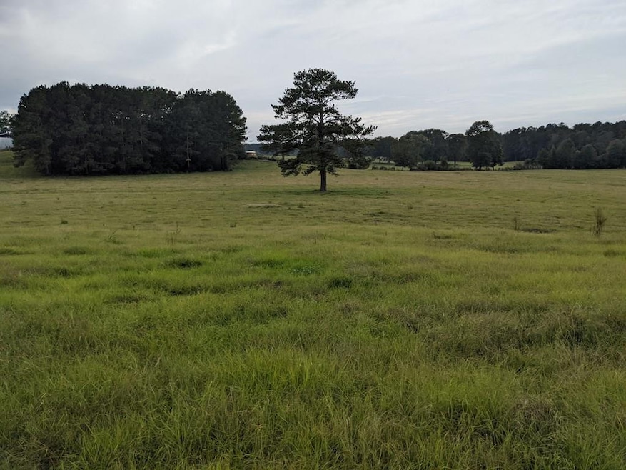 000 Conerly Dr, McComb, MS 39648 - photo 1