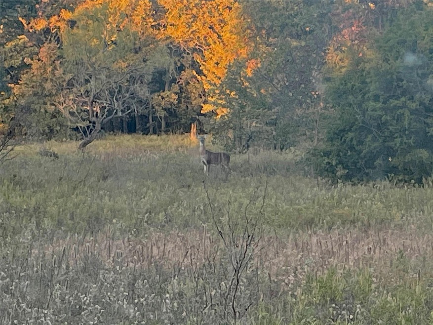 TBD Indian Camp Rd, Weatherford, TX 76087 - photo 1