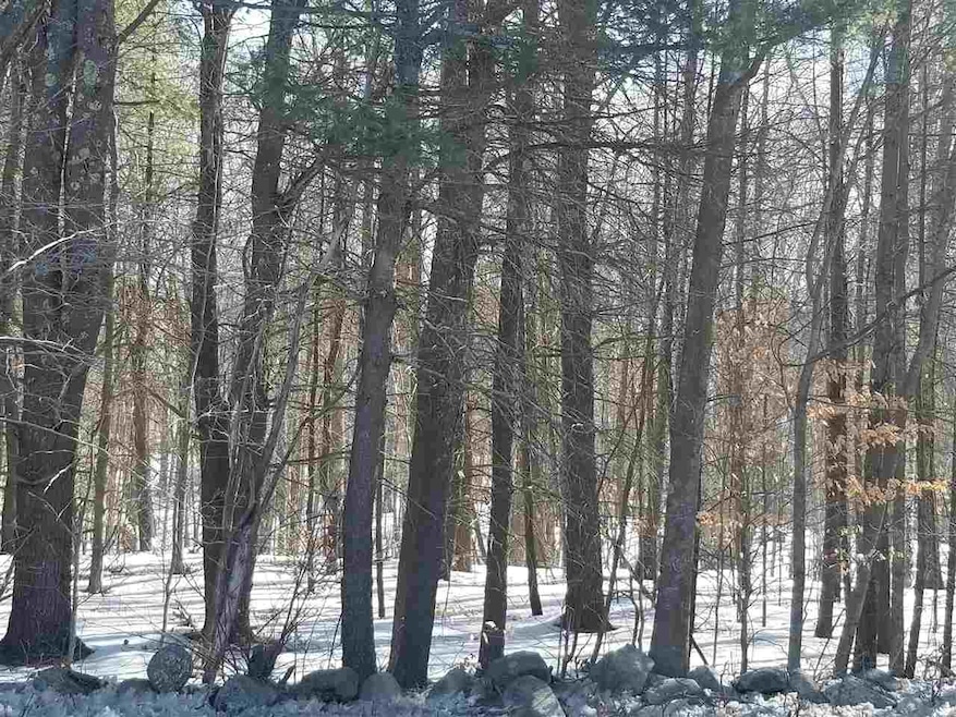 off Wilson Hill Rd, Francestown, NH 03043 - photo 1
