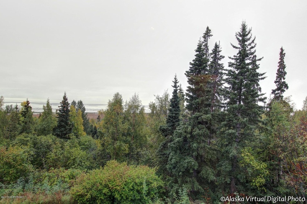 16251 Chasewood Ln, Anchorage, AK 99516 - photo 1